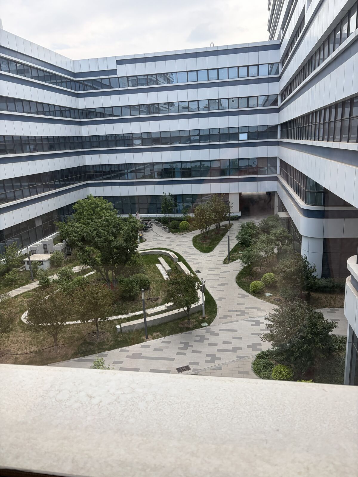 照片 4